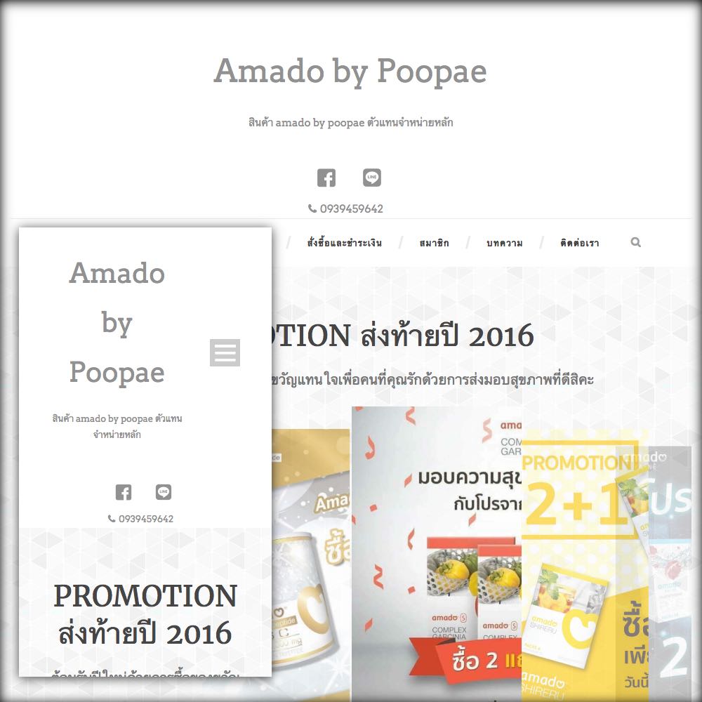 screen-shot-2016-12-22-at-02-01-28 ผลงานของเรา
