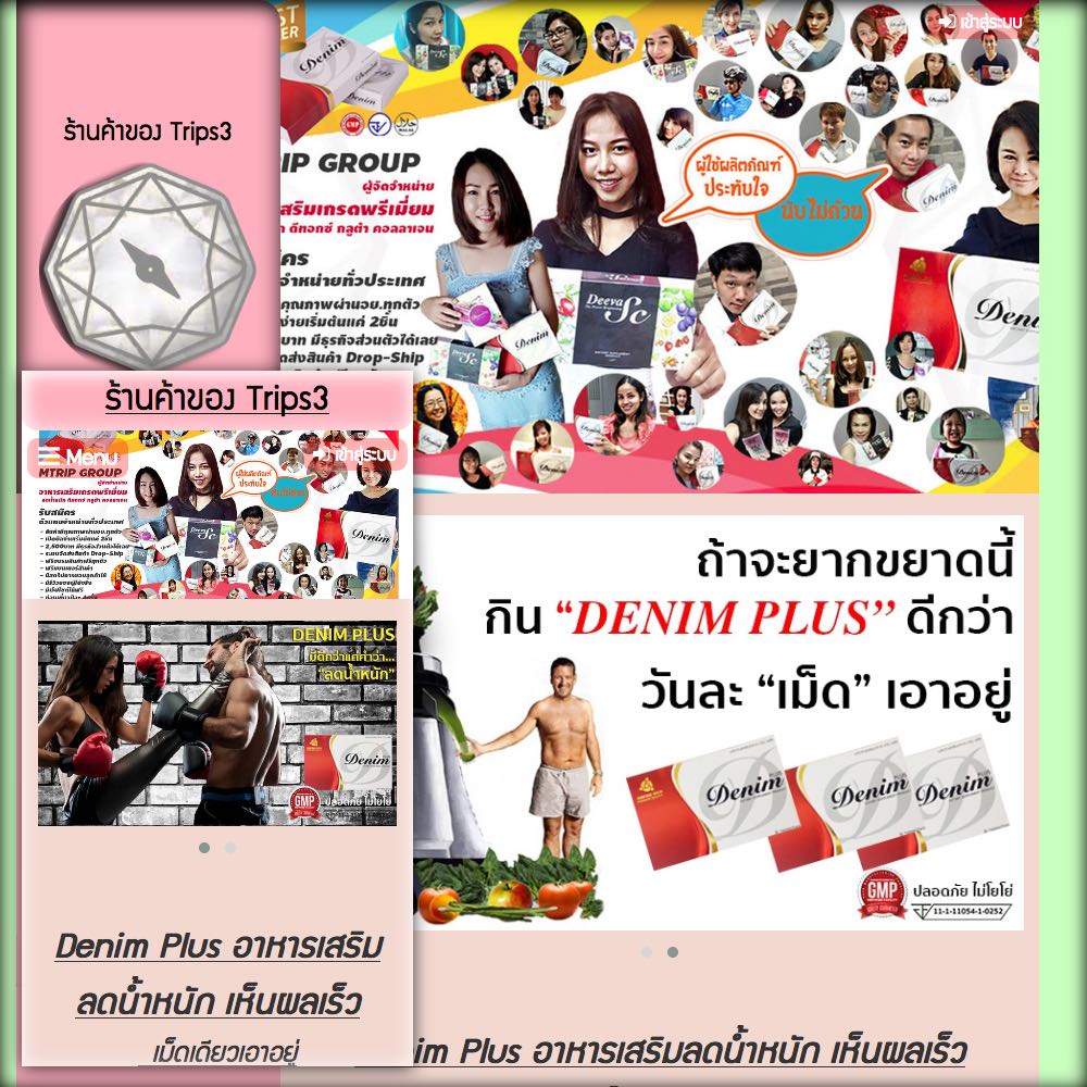 screen-shot-2016-12-24-at-01-31-03 ผลงานของเรา