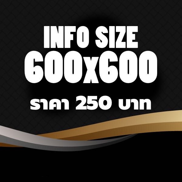 รับทำ info รับทำ info